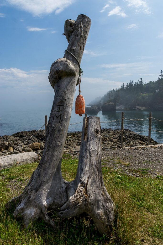 Bay of Fundy tour